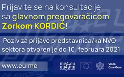 Consultations of NGO representatives with the chief negotiator